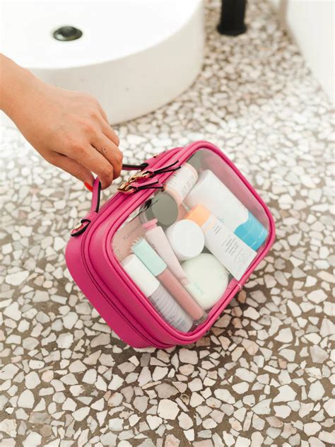 CALPAK small clear cosmetics case